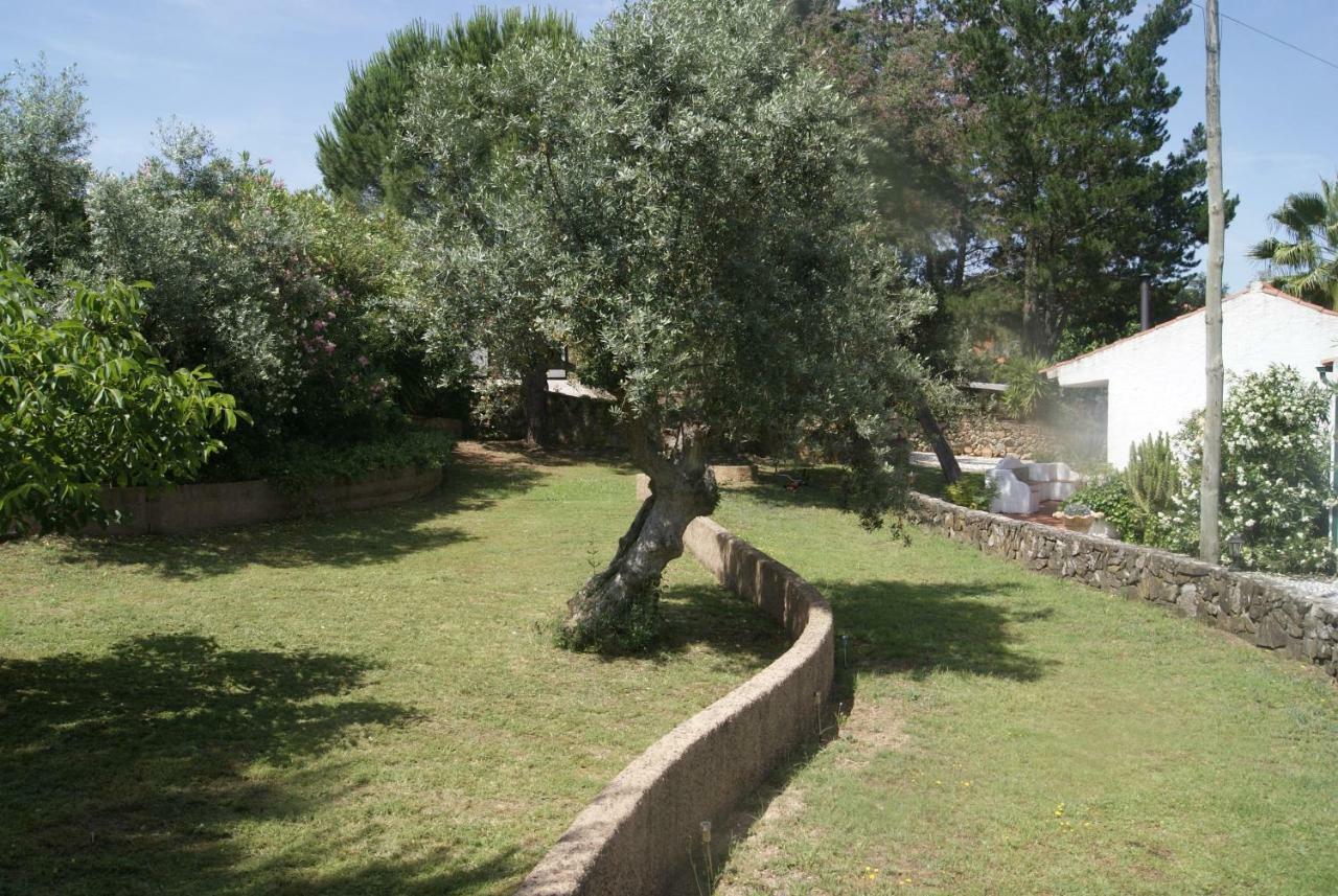 Casa Do Vale Βίλα Sao Pedro de Tomar Εξωτερικό φωτογραφία